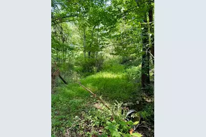 Tbd Grassy Creek Road, Grassy Creek, NC 28631 - Photo 9