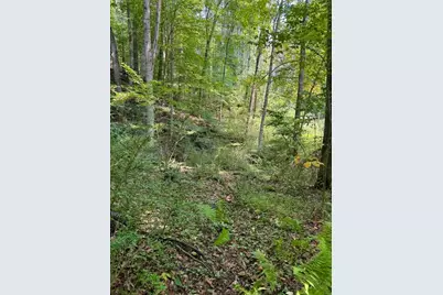 Tbd Grassy Creek Road, Grassy Creek, NC 28631 - Photo 5