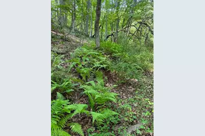 Tbd Grassy Creek Road, Grassy Creek, NC 28631 - Photo 1