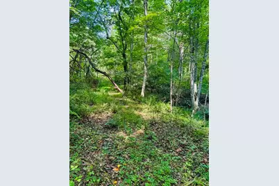 Tbd Grassy Creek Road, Grassy Creek, NC 28631 - Photo 11