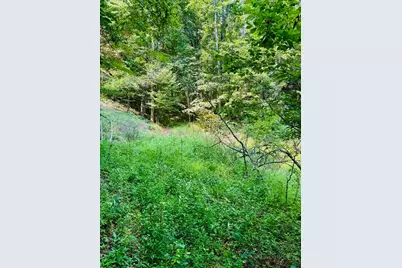 Tbd Grassy Creek Road, Grassy Creek, NC 28631 - Photo 7