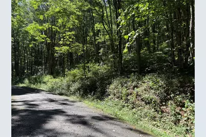 7 Wolfsbane Lane, Todd, NC 28684 - Photo 31