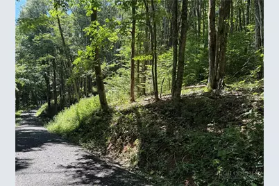 7 Wolfsbane Lane, Todd, NC 28684 - Photo 21