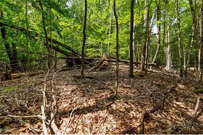 203 Sourwood Lane, Beech Mountain, NC 28604 - Photo 11
