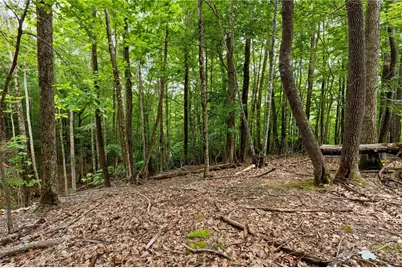 203 Sourwood Lane, Beech Mountain, NC 28604 - Photo 1