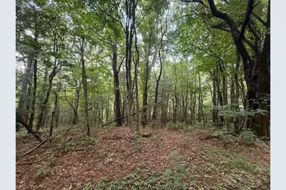 Lot 35/36 Walter Godbey Road, West Jefferson, NC 28694 - Photo 3
