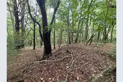 Lot 35/36 Walter Godbey Road, West Jefferson, NC 28694 - Photo 1