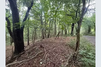 Lot 35/36 Walter Godbey Road, West Jefferson, NC 28694 - Photo 5