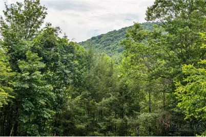 156 Plato Drive, Fleetwood, NC 28626 - Photo 23