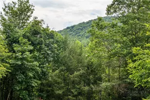 156 Plato Dr, Fleetwood, NC 28626 - Photo 23