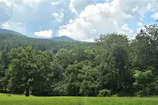161 Thunder Ridge Rd, Laurel Springs, NC 28644 - Photo 47