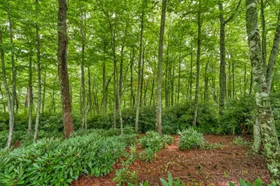 Lot 408 Tbd Firethorn Trail, Blowing Rock, NC 28605 - Photo 7