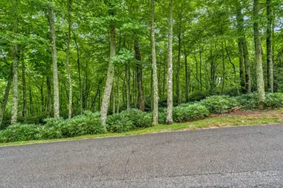 Lot 408 Tbd Firethorn Trail, Blowing Rock, NC 28605 - Photo 1