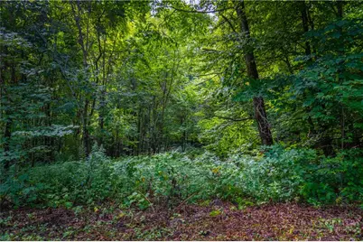 Lot 13 Hemlock Ridge Road, Blowing Rock, NC 28605 - Photo 9