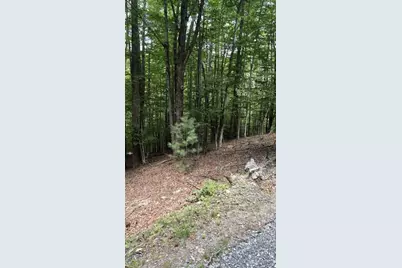 141 Sassafrass Road, Beech Mountain, NC 28604 - Photo 3
