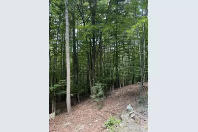 141 Sassafrass Road, Beech Mountain, NC 28604 - Photo 1