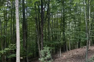 141 Sassafrass Rd, Beech Mountain, NC 28604 - Photo 1