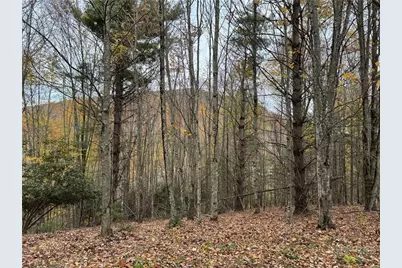 Tbd Rominger Road, Banner Elk, NC 28604 - Photo 1