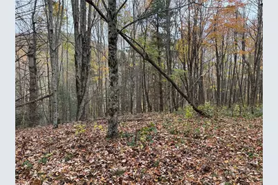 Tbd Rominger Road, Banner Elk, NC 28604 - Photo 11