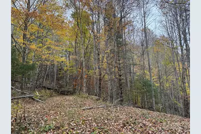 Tbd Rominger Road, Banner Elk, NC 28604 - Photo 9