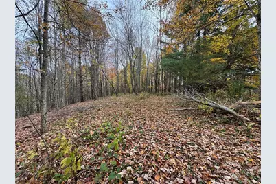 Tbd Rominger Road, Banner Elk, NC 28604 - Photo 15
