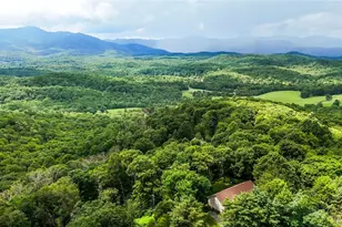 2996 US Hwy 221 S, Blowing Rock, NC 28605 - Photo 47