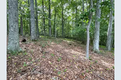Tbd Weaver's Ford Road, Grassy Creek, NC 28631 - Photo 11