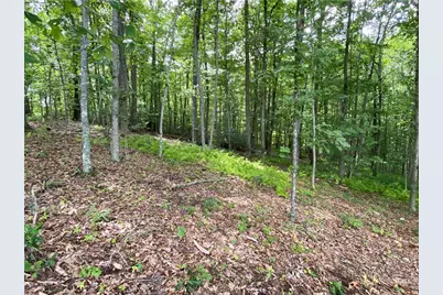 Tbd Weaver's Ford Road, Grassy Creek, NC 28631 - Photo 9