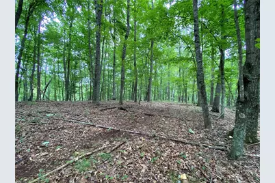 Tbd Weaver's Ford Road, Grassy Creek, NC 28631 - Photo 27