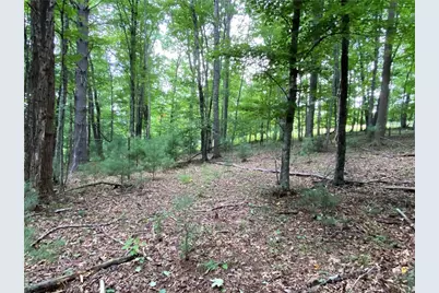 Tbd Weaver's Ford Road, Grassy Creek, NC 28631 - Photo 17