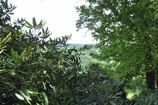 118 Laurelwood Ct, Boone, NC 28607 - Photo 39