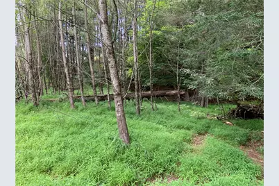 Lot 32 Waterstone Drive, Boone, NC 28607 - Photo 5