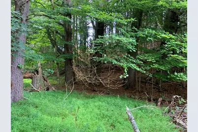 Lot 32 Waterstone Drive, Boone, NC 28607 - Photo 7