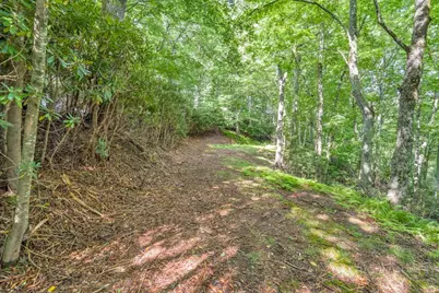 Tbd Raven Rock Road, Boone, NC 28607 - Photo 17