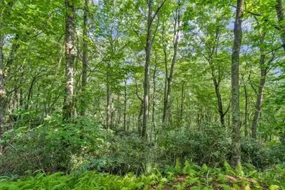 Tbd Raven Rock Road, Boone, NC 28607 - Photo 33