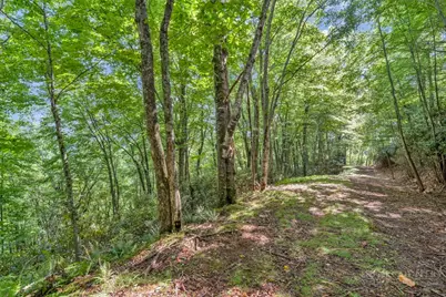 Tbd Raven Rock Road, Boone, NC 28607 - Photo 23