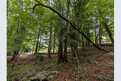 Tbd Cobbs Creek Road, Boone, NC 28607 - Photo 23