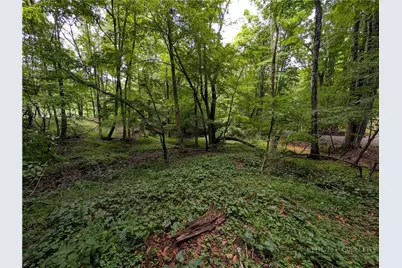 Tbd Cobbs Creek Road, Boone, NC 28607 - Photo 13