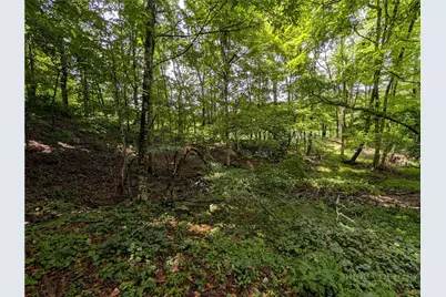 Tbd Cobbs Creek Road, Boone, NC 28607 - Photo 7