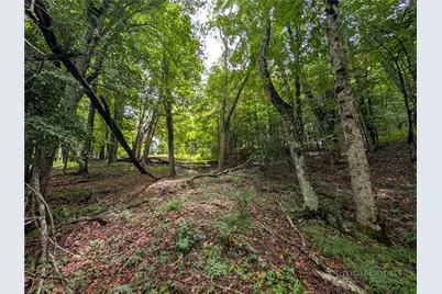 Tbd Cobbs Creek Road, Boone, NC 28607 - Photo 19