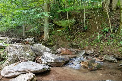 9335 Blackberry Road, Lenoir, NC 28645 - Photo 45