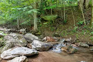 9335 Blackberry Rd, Lenoir, NC 28645 - Photo 45