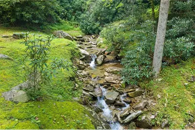 9335 Blackberry Road, Lenoir, NC 28645 - Photo 41
