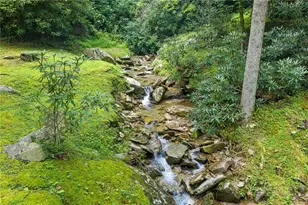 9335 Blackberry Rd, Lenoir, NC 28645 - Photo 41