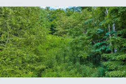 1483 Buffalo Road, West Jefferson, NC 28694 - Photo 13