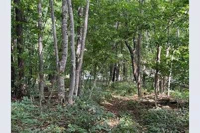 1483 Buffalo Road, West Jefferson, NC 28694 - Photo 11