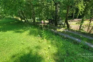737 Lower Crab Orchard Rd, Banner Elk, NC 28604 - Photo 9