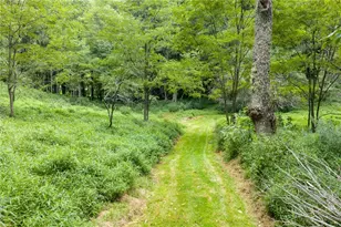 2463 Friendship Church Rd, Boone, NC 28607 - Photo 33