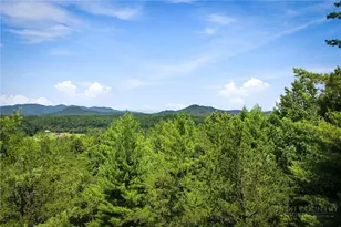 120 Johns Ridge Pkwy, Lenoir, NC 28645 - Photo 1