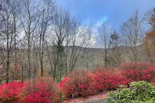 2266 Sugar Mountain 1st Rd, Newland, NC 28604 - Photo 3
